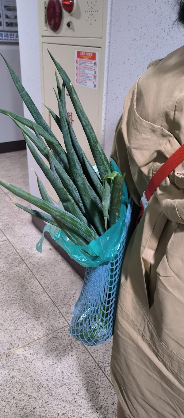 야채왕 우리농산물 마트