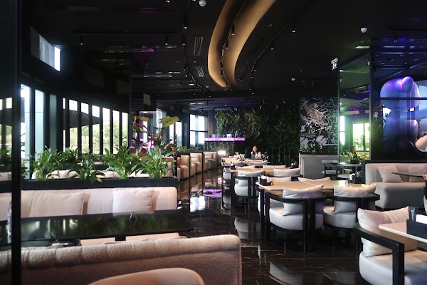 Amaya Best Shisha In Dubai