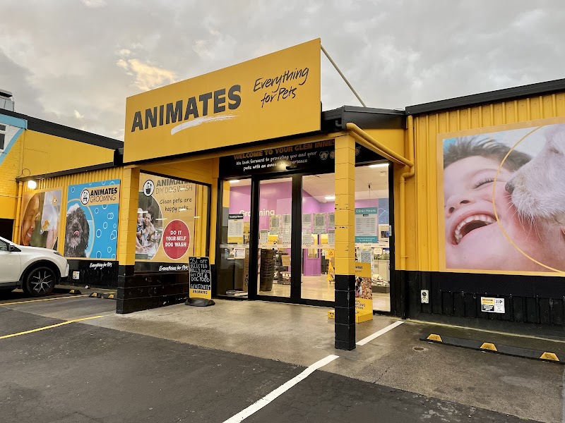 Animates Glen Innes
