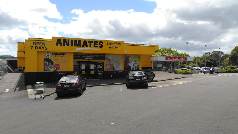 Animates Three Kings