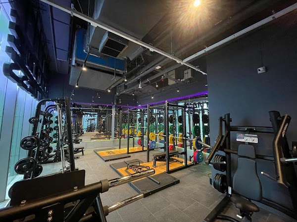 Anytime Fitness Orchard