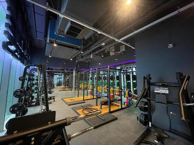 Anytime Fitness Orchard
