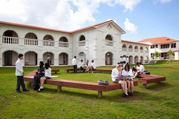 Auckland International College