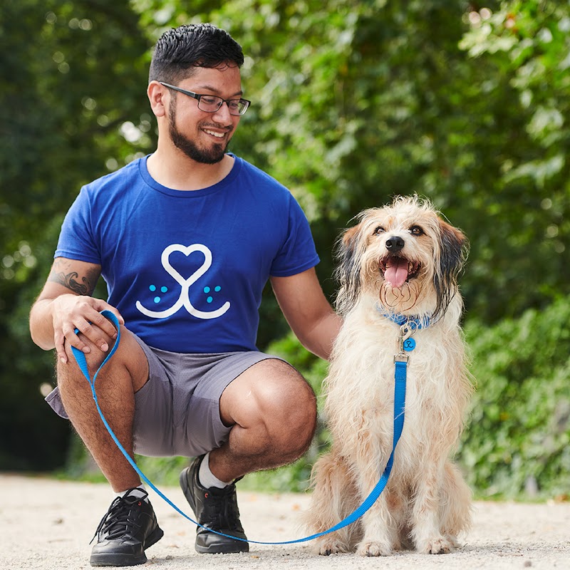 Battersea Dogs and Cats Home