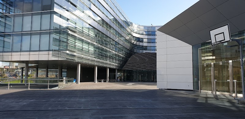 Business School, the University of Auckland