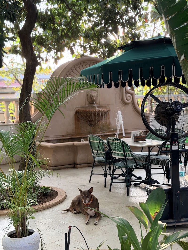 Cafe Cotinga | Bakery | Bar | Restaurant