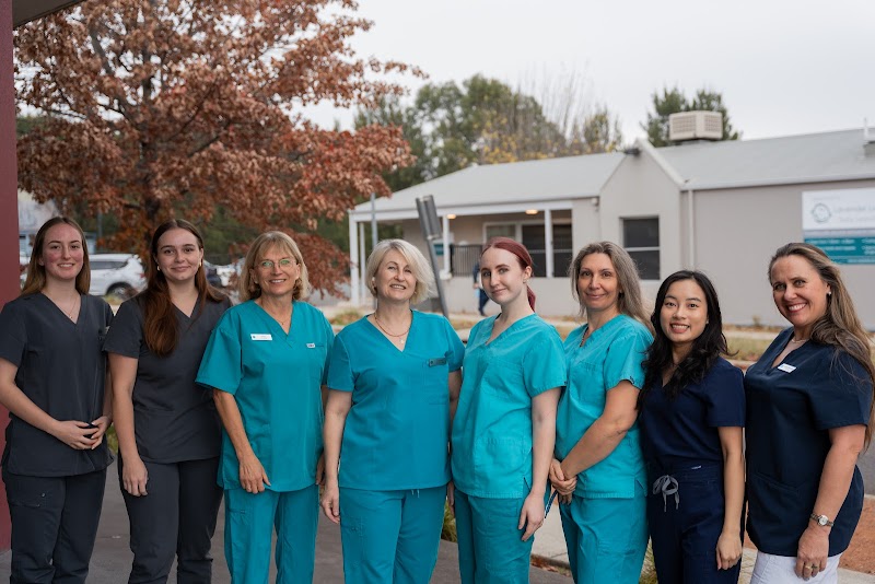 Capital Dental