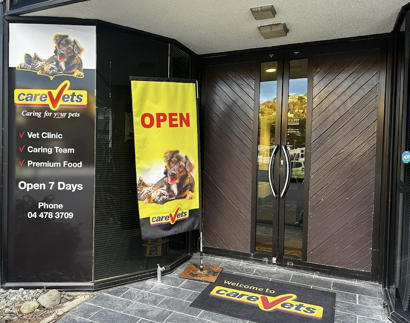 CareVets Johnsonville