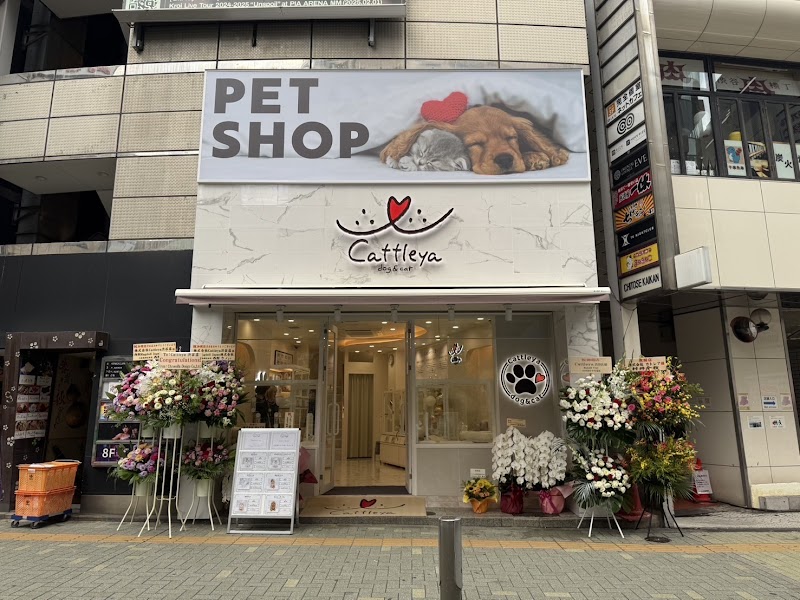 Cattleya 渋谷店（ペットショップ）