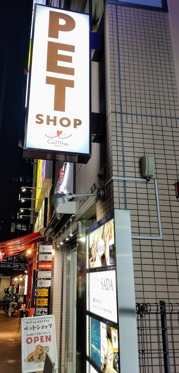 Cattleya 池袋店（ペットショップ）