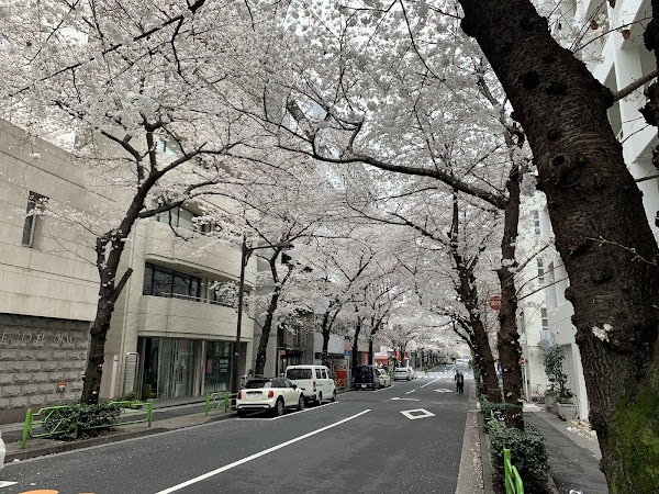 Center Hotel Tokyo