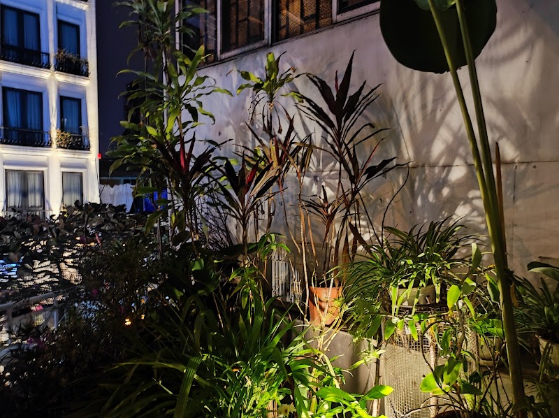 Christina's Hanoi - Secret Garden