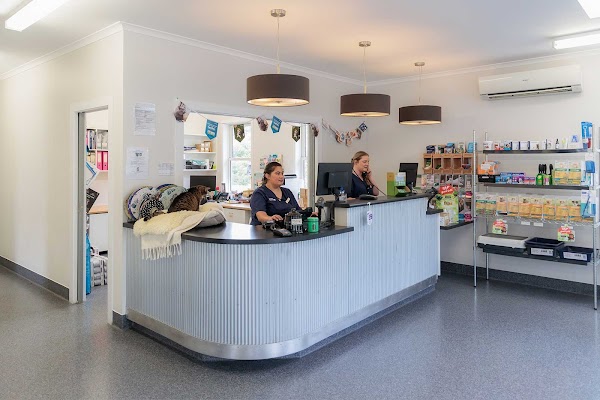 Crofton Downs Veterinary Clinic