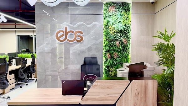 ebs Chartered Accountants
