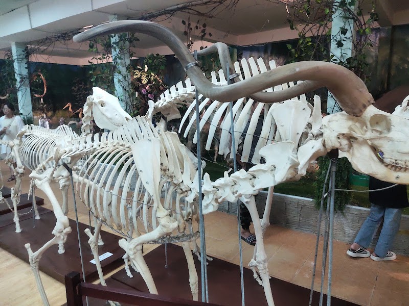 Fauna & Flora Museum