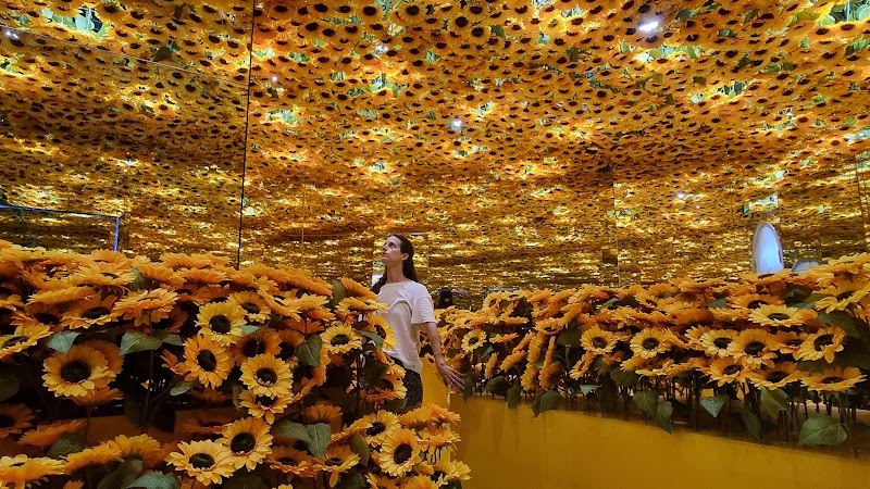 Flyover Starry Sky Art Museum