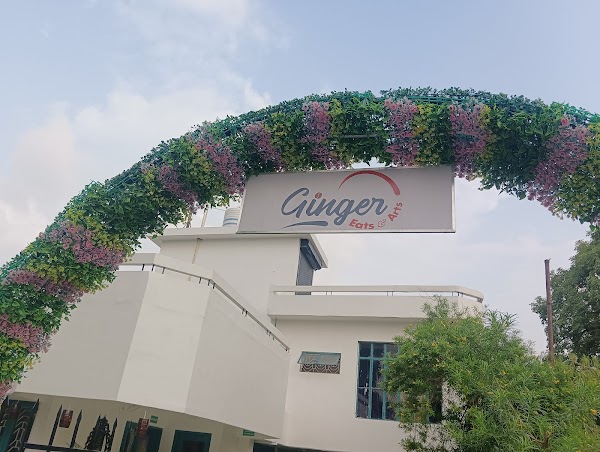 Ginger Eats & Arts