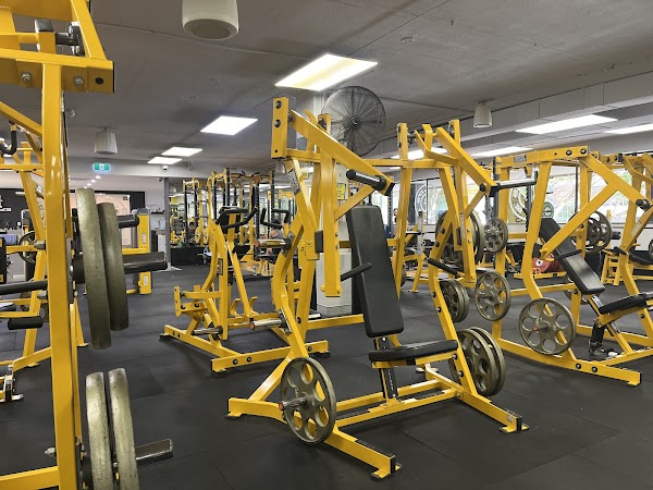 Gold's Gym