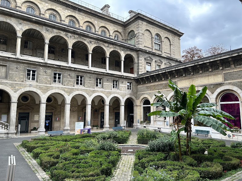 Hôtel Dieu Hospital