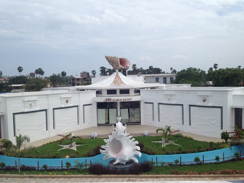 India Seashell Museum