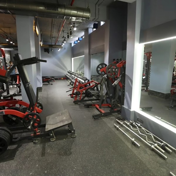 Iron Paradise: Best Gym in Malad | Gym in Kandivali | Fitness Center