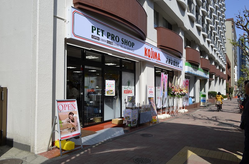 Kojima