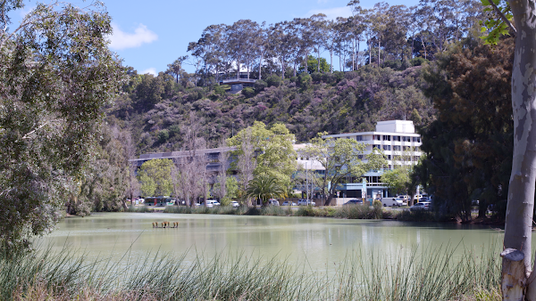 Mount Hospital
