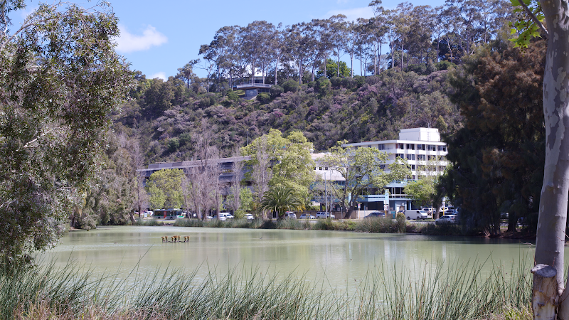 Mount Hospital