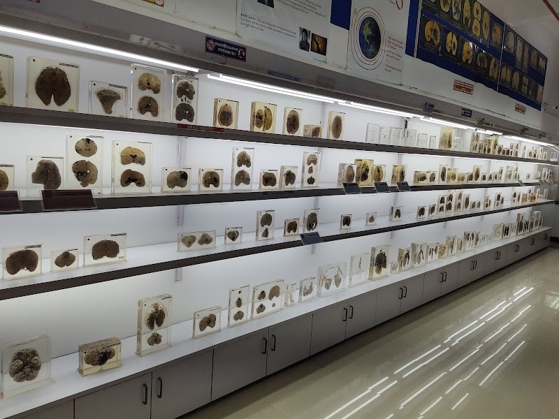 NIMHANS Brain Museum Bengaluru