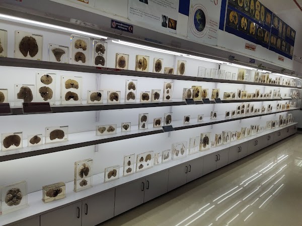 NIMHANS Brain Museum Bengaluru