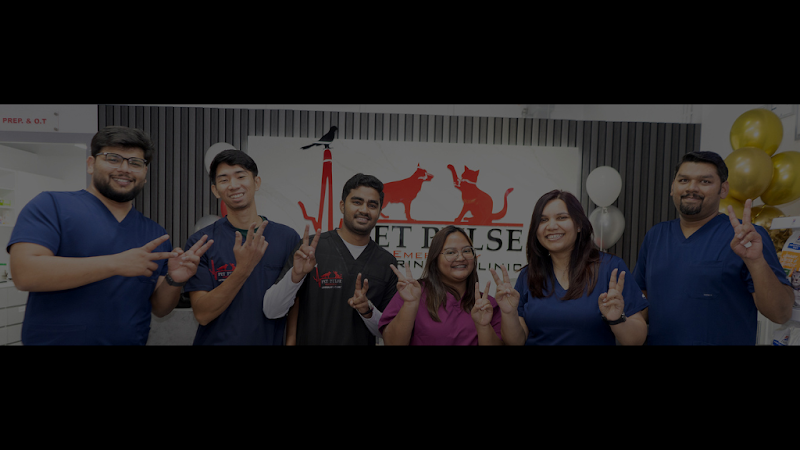 Pet Pulse Emergency Veterinary Clinic - Dubai Silicon Oasis (DSO)
