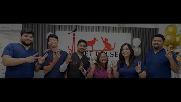 Pet Pulse Emergency Veterinary Clinic - Dubai Silicon Oasis (DSO)