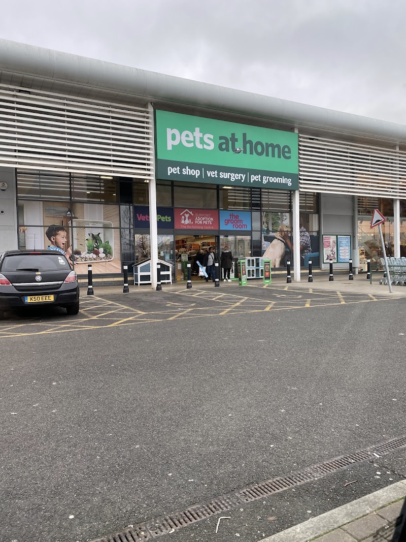 Pets at Home Sydenham