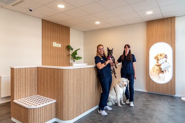 Rex Tierarztpraxis Frankfurt-Ostend