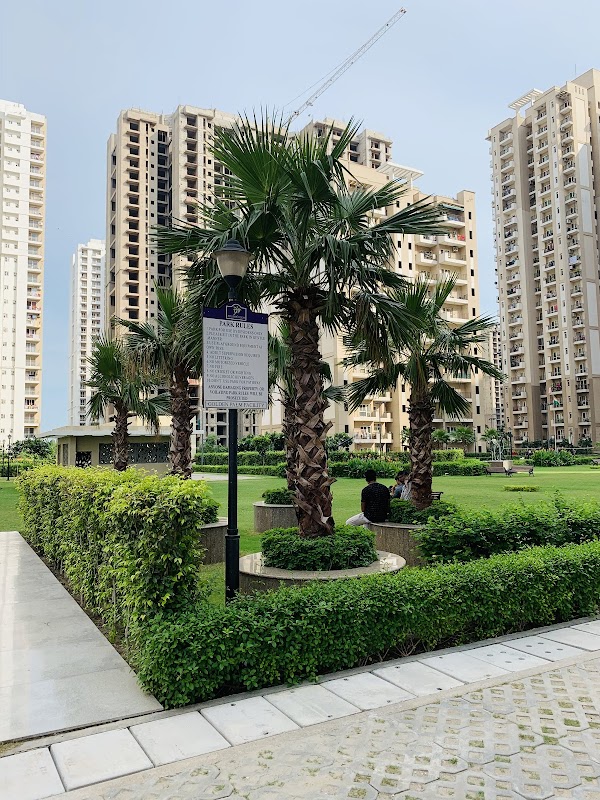 Richa's Home
