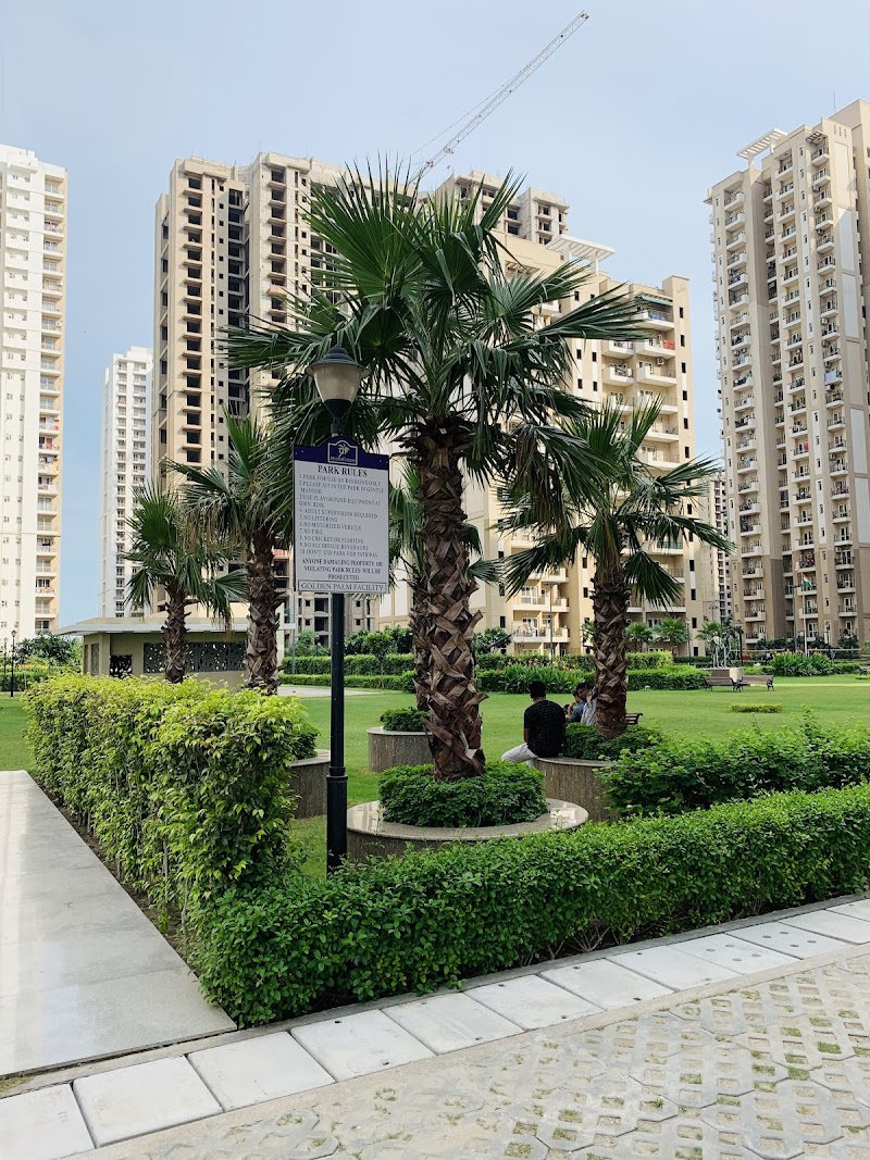 Richa's Home