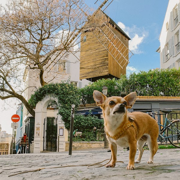 Romantic Montmartre