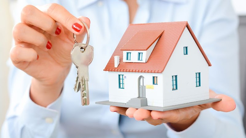 Shree Haryana Properties