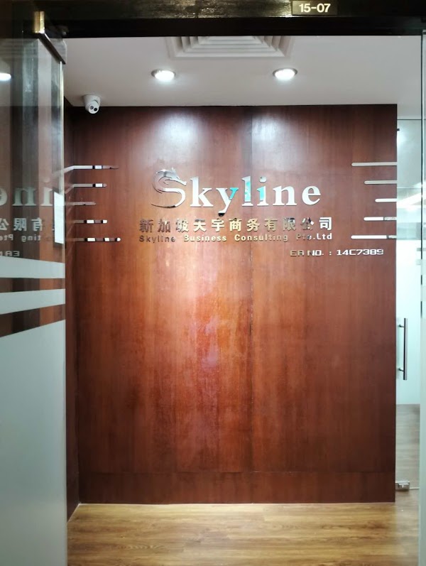 Skyline Business Consulting Pte. Ltd. - 新加坡天宇商务