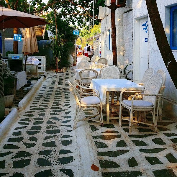 Thalassa