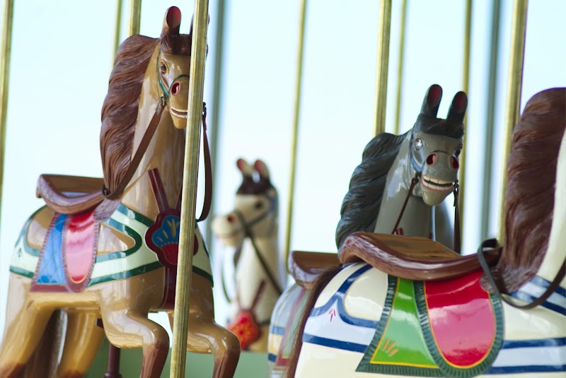 The Carousel
