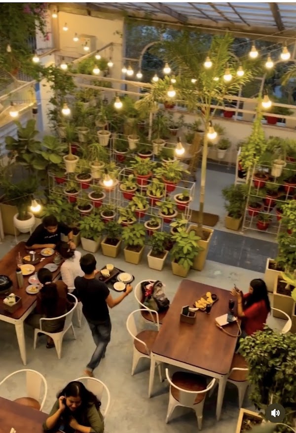 The Greenhouse Cafe