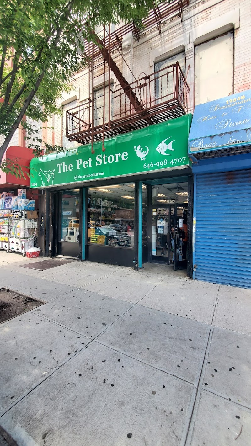The Pet Store