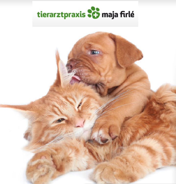 Tierarztpraxis Maja Firlé