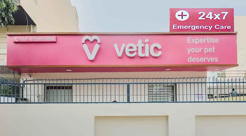 Vetic Pet Clinic Sec-45 Gurgaon