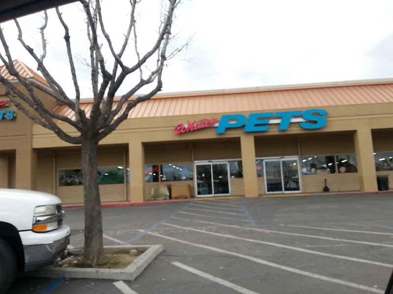 Whitie's Pets