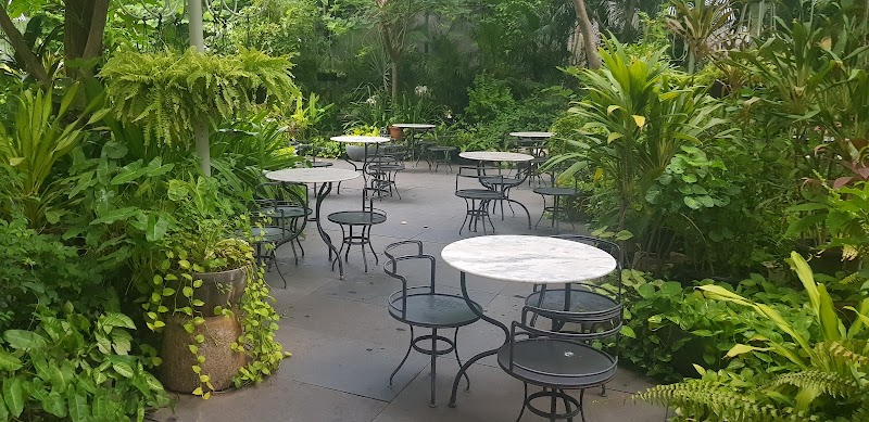 Wild Gardencafe