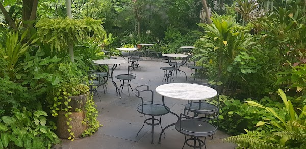 Wild Gardencafe