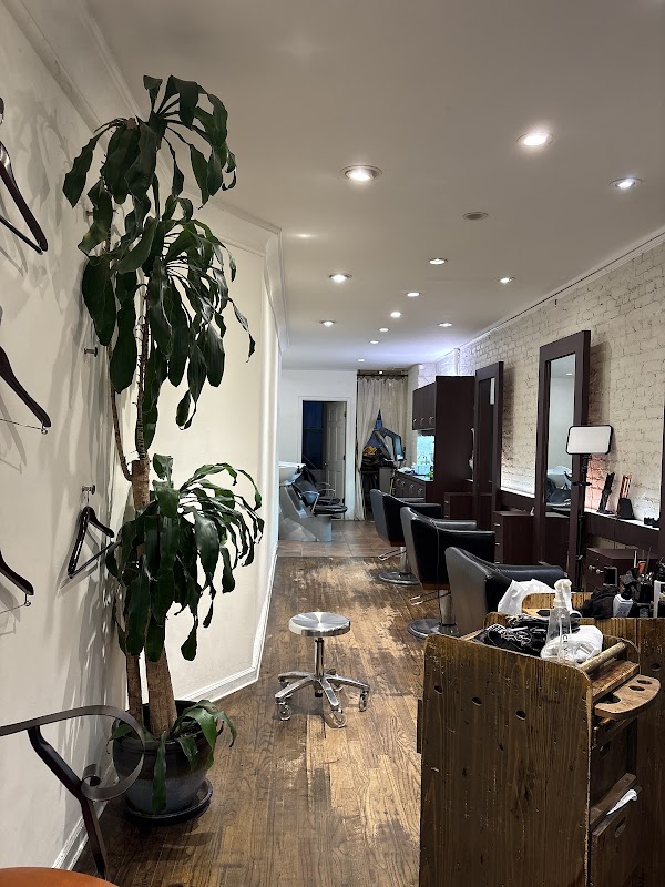 Yo-C Salon